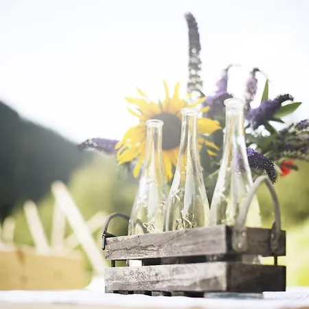 Zum Stubaier Gletscher - Wald Appartement Neustift im Stubaital