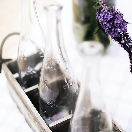 公寓 Zum Stubaier Gletscher - Wald 施图拜河谷新施蒂夫特