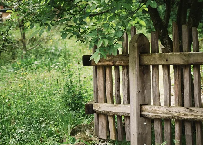 Апартаменты Zum Stubaier Gletscher - Wald