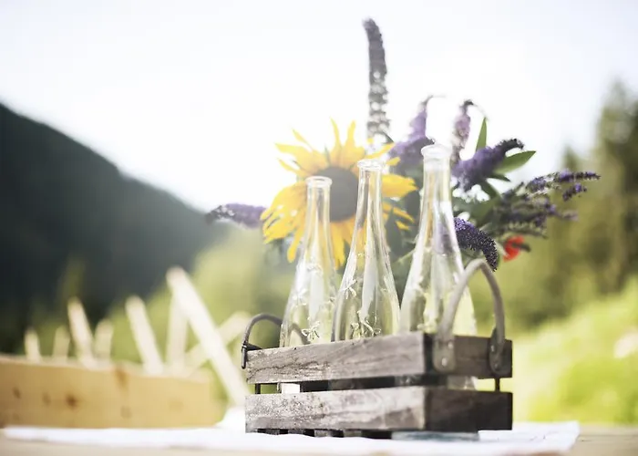 Zum Stubaier Gletscher - Wald Appartement Neustift im Stubaital