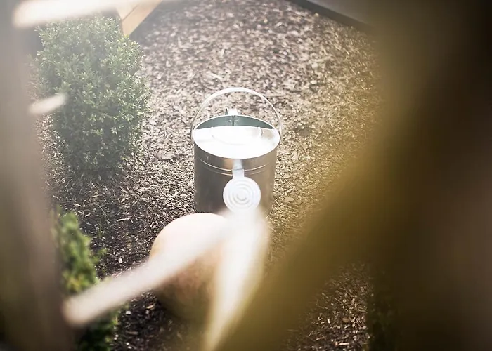 Zum Stubaier Gletscher - Wald *