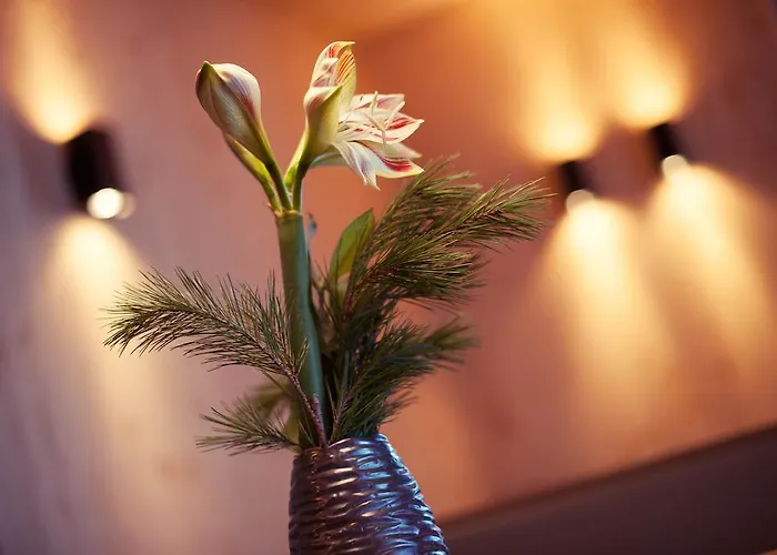 Zum Stubaier Gletscher - Wald Neustift im Stubaital